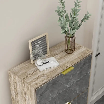 Timechee Mirrored Flip Drawer Shoe Cabinet Storage Cabinet Organizer